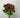 Supreme Kalanchoe Bush 9'' Pink - Artificial Flora Silk