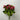 Supreme Kalanchoe Bush 9'' Pink - Artificial Flora Silk