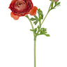 AmBest Fresh Touch Asiatic Ranunculus Stem Orange 23 " - Uncategorized Silk