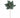 Direct Export Velvet Poinsettia Stem Dusty Green 22" - Artificial Flowering Plants Silk