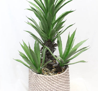 UV Yucca in Pot 36''H