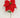 Poinsettia Stem Red 28''