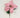 Poinsettia Stem Pink 28''