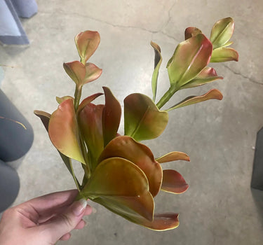 Select Coastal Succulent Pick Coral/Green 15" - Uncategorized Silk