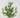 Fortune Leaves Bush Cream - Silk