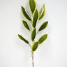 Supreme Foam Leaf Spray Green-Cream 38'' - Uncategorized Silk