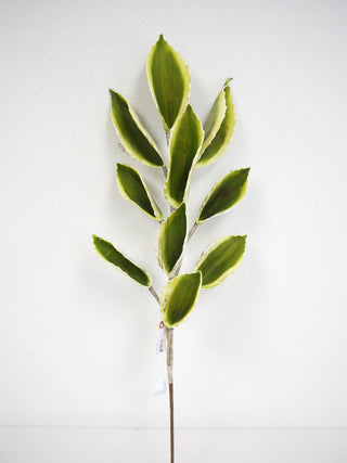 Foam Leaf Spray Green-Cream 38''