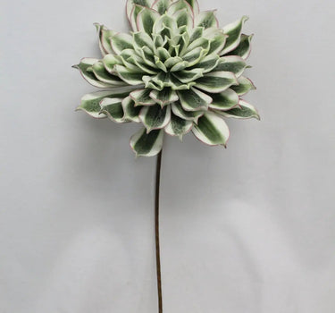 Foam Succulent Flower Green/Cream 31.5"