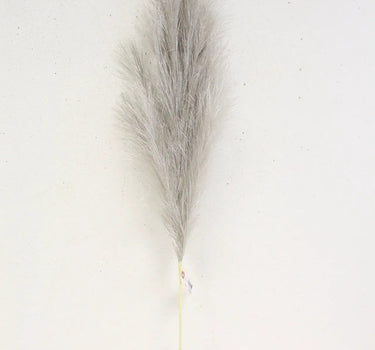 Pampas Spray Champagne 40"