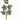 Direct Export Frosted Berry Spray Green 21" - Artificial Non-Flowering Plants Silk
