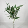 CRI Eucalyptus Spray Green 28" - Uncategorized Silk