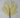 Supreme Fan Palm Spray 35'' Cream - Artificial Non-Flowering Plants Silk