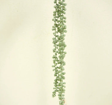 String of Pearls Garland
