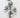 Foam Japanese Magnolia Spray Grey