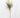 Foam Mink Protea Spray 39"