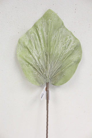 Fan Palm Spray Cream 33"