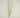 Distressed Cream Twig Spray 28"