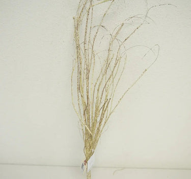 Distressed Cream Twig Spray 28"