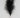 Pampas Feather Bundle (x3) Black