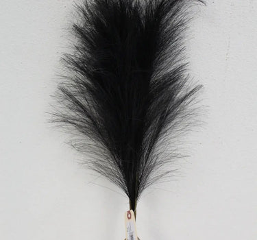 Pampas Feather Bundle (x3) Black