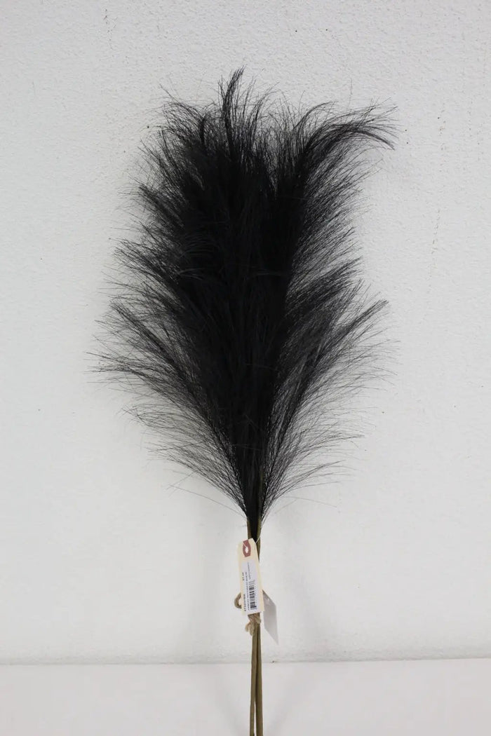 Pampas Feather Bundle (x3) Black