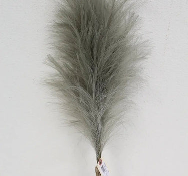 Pampas Feather Bundle (x3) Grey
