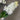Le Fleur Lilac Spray White 32" - Silk