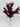 Le Fleur Tea Leaf Bush Red 16" - Artificial Non-Flowering Plants Silk