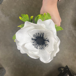 22" Poppy Anemone Stem WH