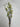 Direct Export Twig/Berry Branch Yellow 41" - Uncategorized Silk