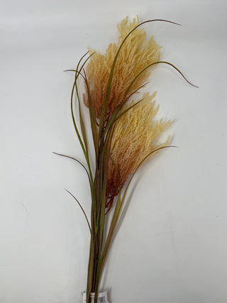 Reed Spray Cream