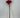 Select Amaryllis Spray Red - Uncategorized Silk