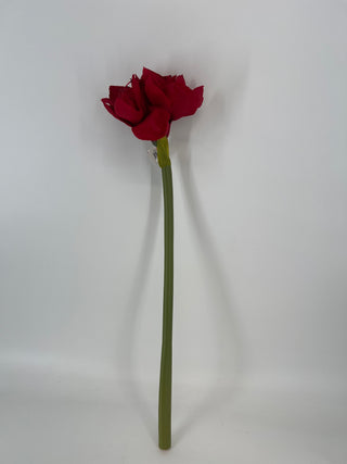Amaryllis Spray Red