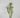 Supreme Wax Flower Spray White 32" - Uncategorized Silk