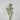 Supreme Wax Flower Spray White 32" - Uncategorized Silk