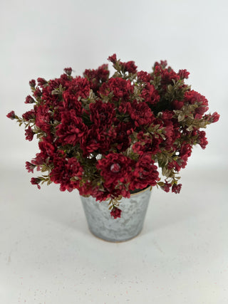 Burgundy Mum - Potted 2 Stems