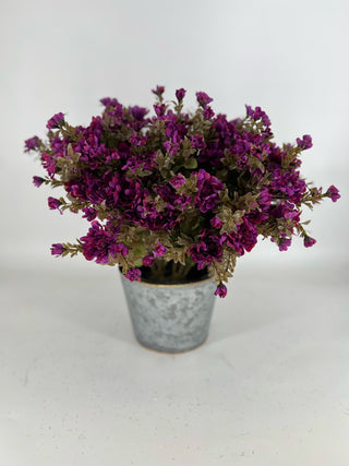 Purple Mum - Potted 2 Stems