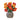 FreshCut Paper LLC Mini French Poppies Pop-Up Greeting Card - Greeting Cards Merchandise