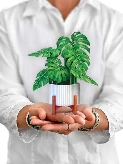 FreshCut Paper LLC Mini Monstera Pop-Up Greeting Card - Greeting Cards Merchandise