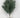 Frosted Pine Bush Green 12"