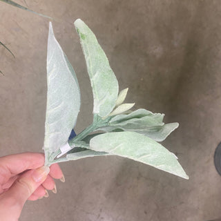 Lamb's Ear Stem Green 10.5"