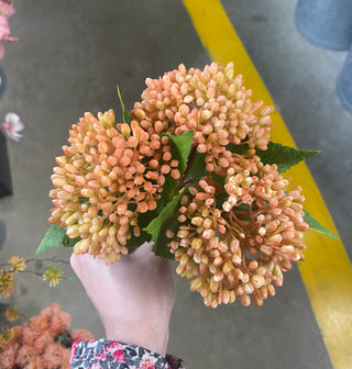 Seeded Berry Bundle Coral 11"