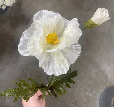 Allstate Poppy Spray Cream 28" - Silk