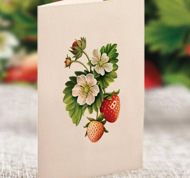 FreshCut Paper LLC Strawberry Blossom Pop-Up Greeting Card - Greeting Cards Merchandise