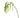 Winward Hanging Amaranthus Spray 31'' - Artificial Non-Flowering Plants Silk