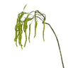 Winward Hanging Amaranthus Spray 31'' - Artificial Non-Flowering Plants Silk