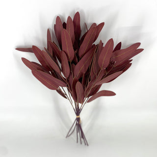 Eucalyptus Bundle Burgundy 15"