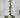 Le Fleur Swan Fern Garland 6" - Garlands Silk