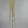 Select Bushy Pampas Grass Spray 43" Cream - Artificial Non-Flowering Plants Silk