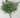 Le Fleur Frosted Dusty Miller Bush 10" - Silk